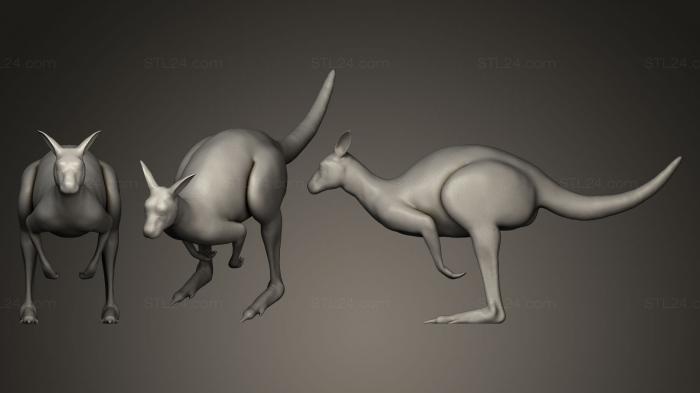 Статуэтки животных (Кенгуру, STKJ_0331) 3D модель для ЧПУ станка